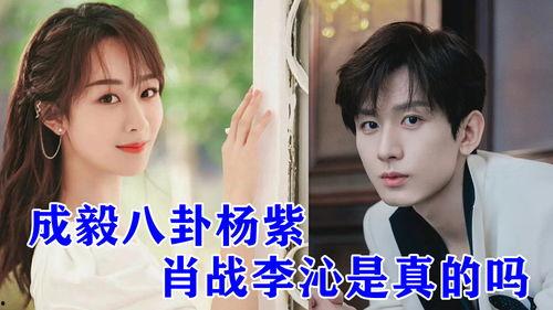 娱乐八卦爆料成毅杨紫是哪一期,揭秘娱乐圈最新绯闻情侣  第3张