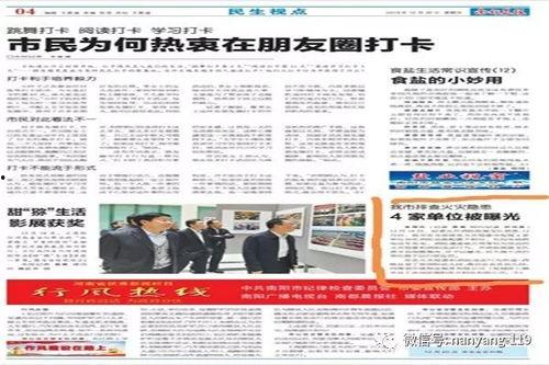 南阳 新闻 爆料,揭秘背后真相，探寻事件真相  第2张